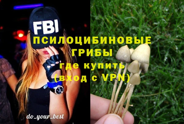 герыч Алексин