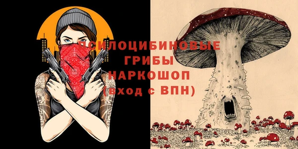 прущие крисы Абинск