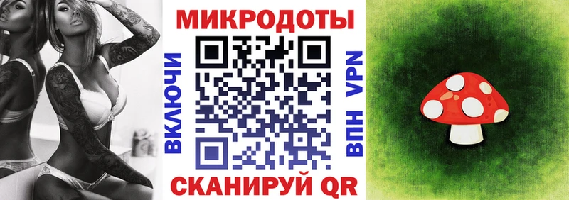 Галлюциногенные грибы мицелий  darknet клад  Темрюк  купить наркоту 