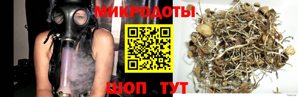 Псилоцибиновые грибы мухоморы Темрюк